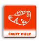 Fruit Pulp