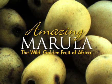 Amazing Marula