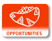 Opportunities